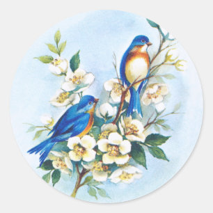 Adesivo Redondo Dois Bluebirds