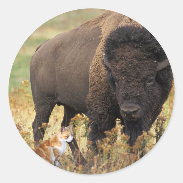 Adesivo Redondo Dois de um tipo (Frente)