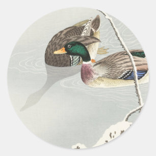 Adesivo Redondo Dois patos-reais, colheita