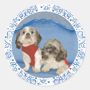 Adesivo Redondo Dois Pequenos Cachorros Resgatados Shih Tzu