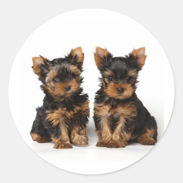 Adesivo Redondo Dois pequenos super (Frente)