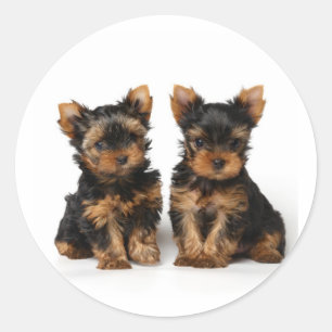 Adesivo Redondo Dois supers pequenos