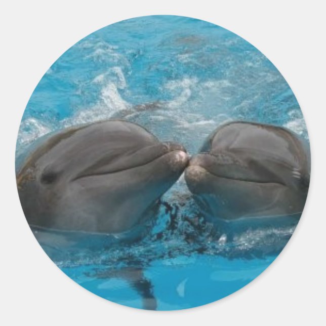 Adesivo Redondo Dolphin Kiss (Frente)