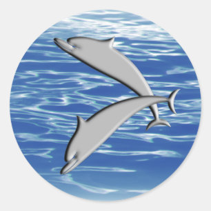 Adesivo Redondo Dolphin Play