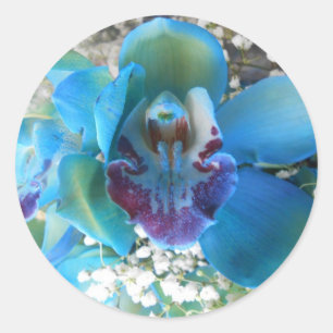 Adesivo Redondo Donella