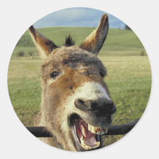 Adesivo Redondo Donkey