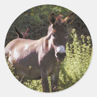 Adesivo Redondo Donkeys na Pasture