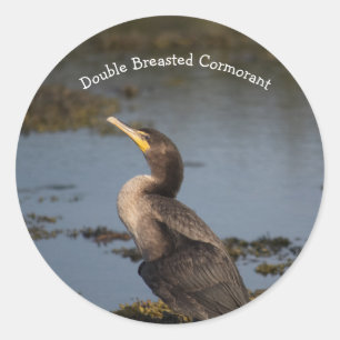 Adesivo Redondo Double breasted cormorant