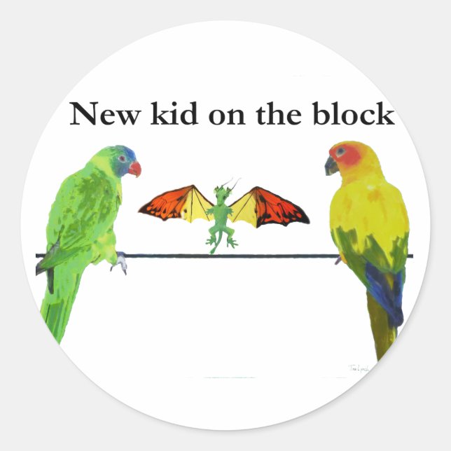 Adesivo Redondo Dragão com aves (Frente)