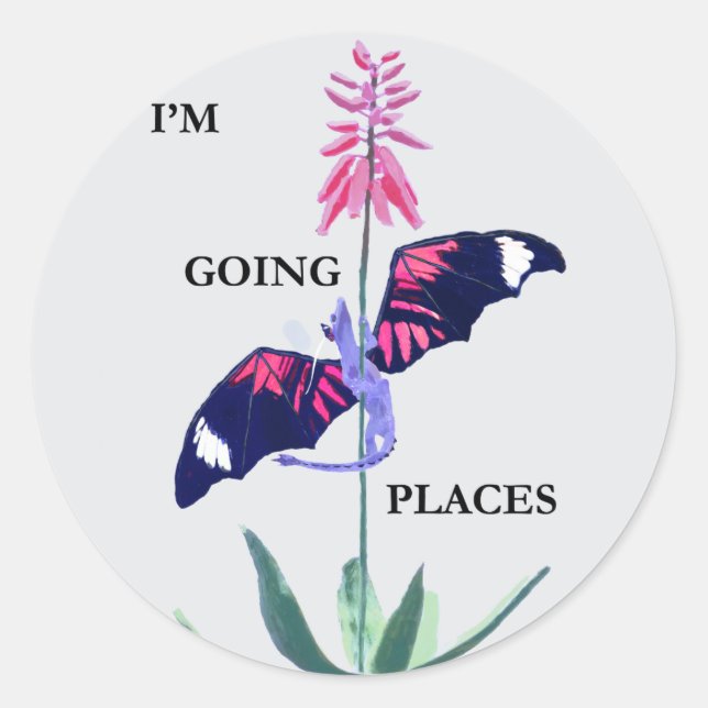 Adesivo Redondo Dragão e cacto (Frente)