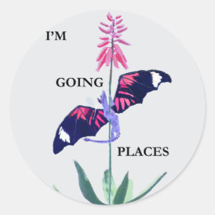 Adesivo Redondo Dragão e cacto