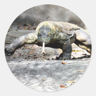 Adesivo Redondo Dragão Komodo na Caça Stickers