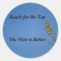 Dragon Fly Sticker