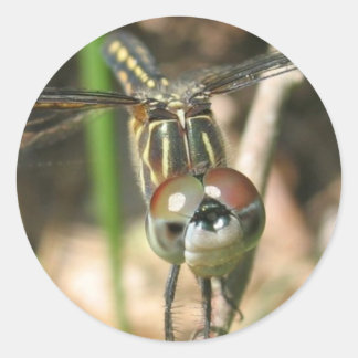 Adesivo Redondo "Dragonfly Smile" Folha adesiva