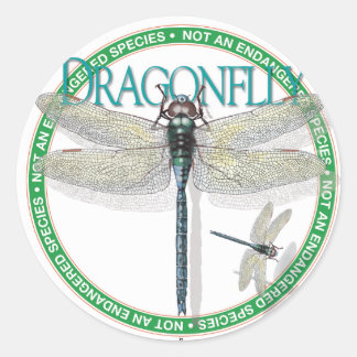 Adesivo Redondo Dragonfly Sticker