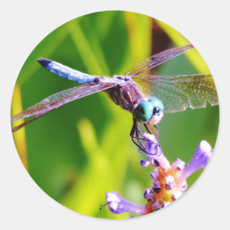 Adesivo Redondo Dragonfly Teal & Purple