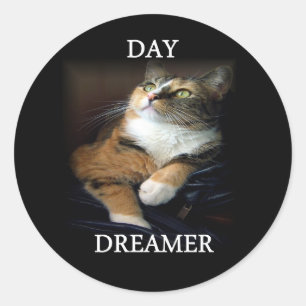 Adesivo Redondo Dreamer Sticker