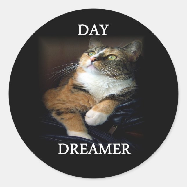 Adesivo Redondo Dreamer Sticker (Frente)