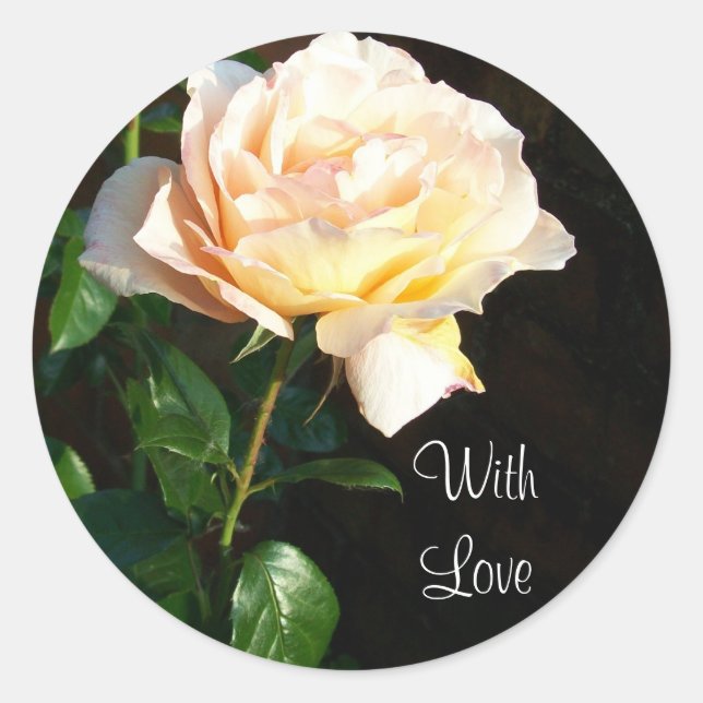 Adesivo Redondo "Dreaming Spires" Rosa (Frente)