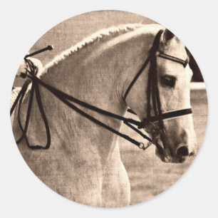 Adesivo Redondo Dressage Grunge