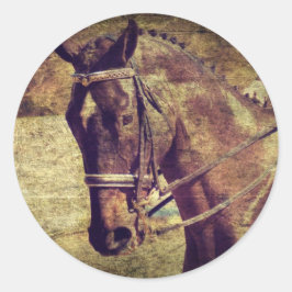 Adesivo Redondo Dressagem