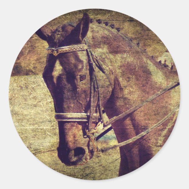 Adesivo Redondo Dressagem (Frente)