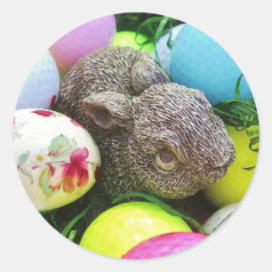 ADESIVO REDONDO DSCF0438.JPG