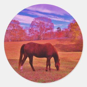 ADESIVO REDONDO DSCF0536.JPG