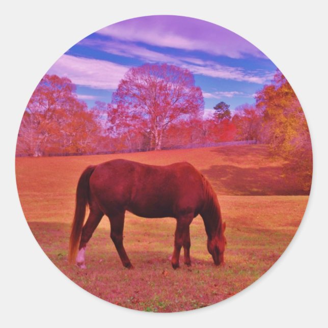 ADESIVO REDONDO DSCF0536.JPG (Frente)