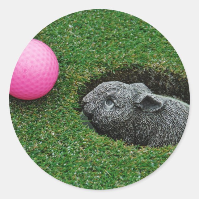 ADESIVO REDONDO DSCF0652.JPG (Frente)