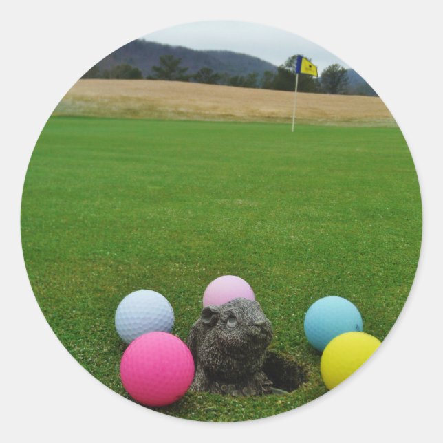 ADESIVO REDONDO DSCF0692.JPG (Frente)