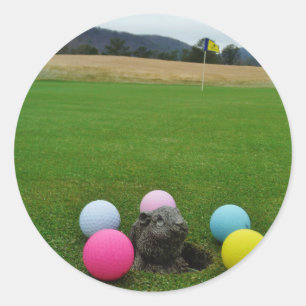 ADESIVO REDONDO DSCF0692.JPG