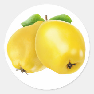 Adesivo Redondo Duas frutas de margarida