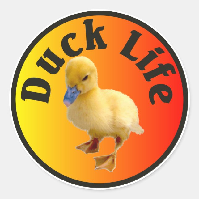 Adesivo Redondo Duck Life Sticker (Frente)