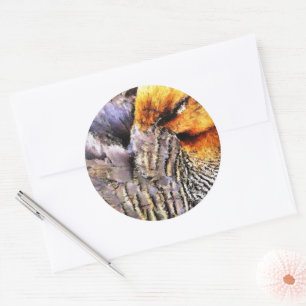 ADESIVO REDONDO DUCKS