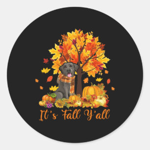 Adesivo Redondo É o Obrigado do Dia das Bruxas Preto do Labrador.