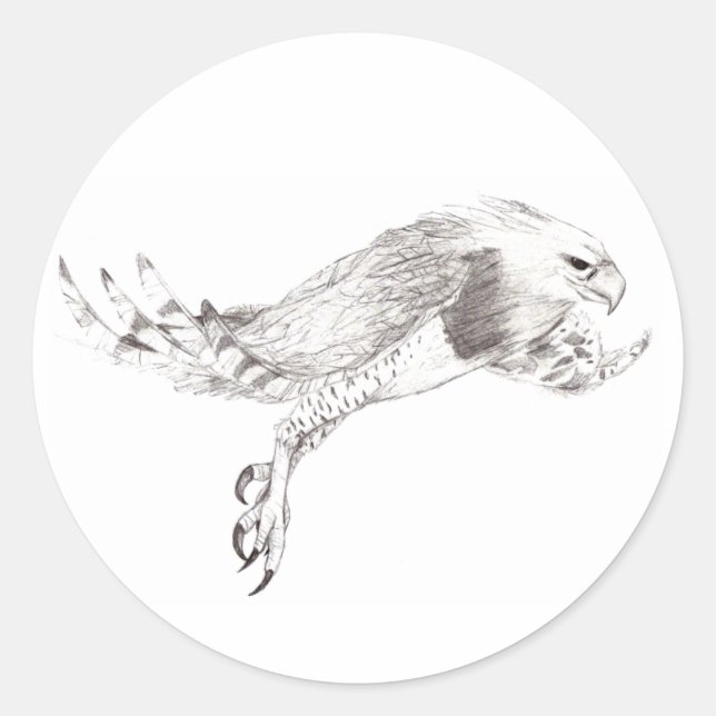 Adesivo Redondo Eagle Harpy (Frente)