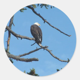 Adesivo Redondo Eagle Sticker