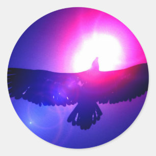 Adesivo Redondo Eagle Wings - Águia em Voo