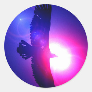 Adesivo Redondo Eagle Wings - Águia em Voo