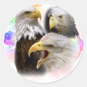 Adesivo Redondo Eagles