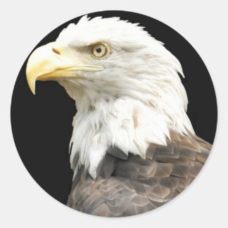 Adesivo Redondo Eagles Stare