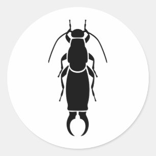 Adesivo Redondo Earwig