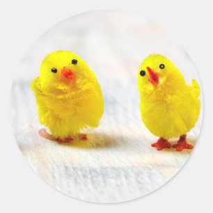 Adesivo Redondo Easter Decoration - chicks in a row