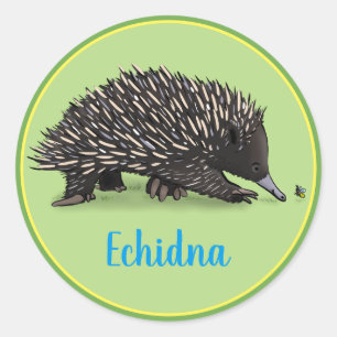 Adesivo Redondo Echidna bonito com desenhos animados do inseto