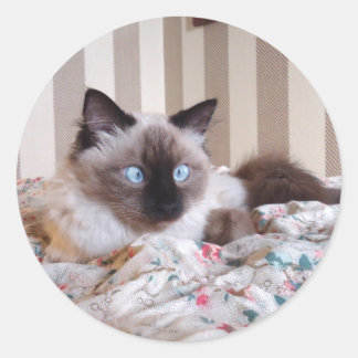 Adesivo Redondo Edith