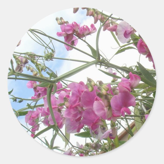 Adesivo Redondo edulcorante (Frente)