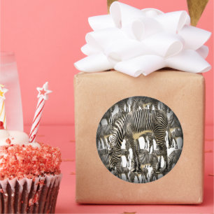 Adesivo Redondo Efetivos de Zebras