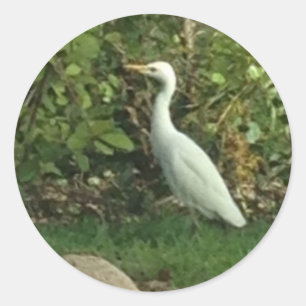 Adesivo Redondo Egret branco