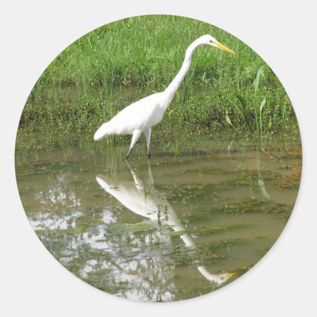 Adesivo Redondo Egret Branco do excelente (Frente)